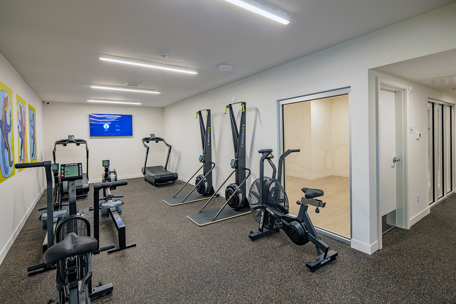 rogue fitness cardio and exercise equipment in the wakpada minneapolis apartments fitness center